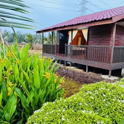 Akira Laman Padi Tg Karang
