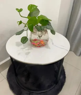 a white table with a plant in a vase on it at Dream Home Landed Balik Pulau in Balik Pulau