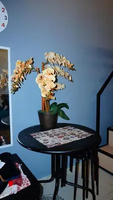 a table with a potted plant on top of it at Cozy Loft Bed Mini Studio Golf View in Gua Sai