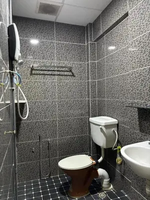 a bathroom with a toilet and a sink at Ray Yan Guesthouse Penang in Batu Ferringhi