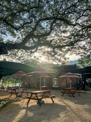 a group of picnic tables with umbrellas under a tree at Glamping at Xscape Tambun in Ipoh