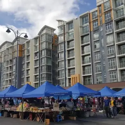 Kareena Barrington Square Goldenhills Pasar Malam Cameron Highlands