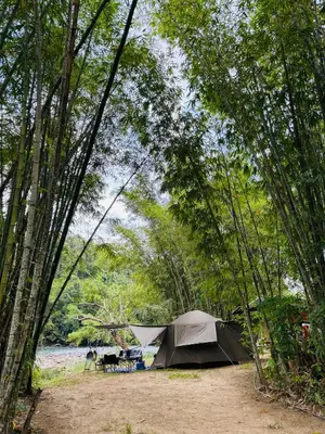 a group of tents in the woods next to a river at Camping River View in Gua Sai
