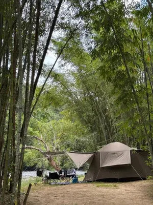 a tent in the middle of a forest of trees at Camping River View in Gua Sai