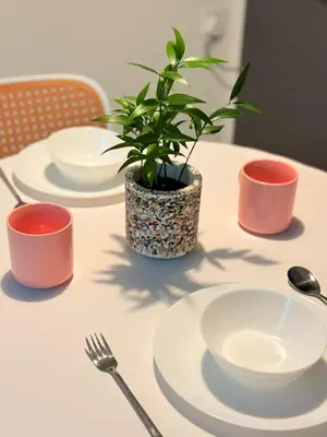 a table with plates and a potted plant on it at The Sun Executive Suite - Dolphin's Home in Bayan Lepas