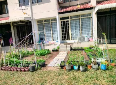 a garden in front of a house with plants at Comfy Room Near to Penang Bridge in George Town