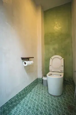 a bathroom with a toilet and a green wall at Carnarvon 73 in George Town