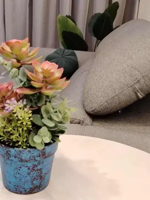 a potted plant on a table next to a couch at Nordic Haven \u5317\u6b27\u6696\u5c45 in Taiping