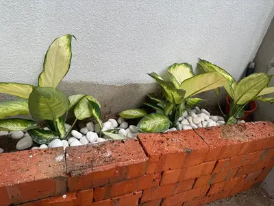 a brick planter with green plants in it at 2 Storey Terrace 39 night market in Brinchang