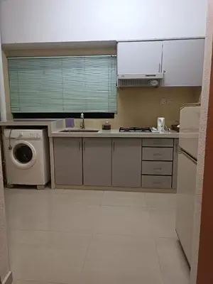 a kitchen with a sink and a washing machine at Sri Sayang Resort Apartment in Batu Ferringhi