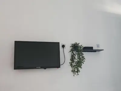 a flat screen tv hanging on a wall with a plant at Rumah Adaminha, Roomstay with pool Simpang, Taiping in Taiping
