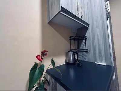 a kitchen with a black counter with a plant on it at Homestay Kenangan Kati Kuala Kangsar in Kuala Kangsar
