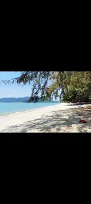 a view of a beach with trees and the water at Homestay one3nine in Kampong Batu Tiga