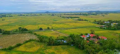 an aerial view of a field with houses and crops at 3-Bedroom Homelike Apartment in Bukit Mertajam in Bukit Mertajam