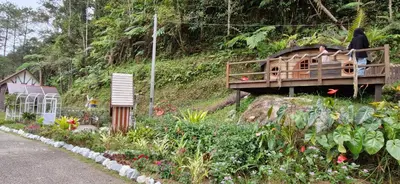 a woman standing on a bridge over a garden at B10-5-1 Silverpark Resort -No Lift in Bukit Fraser