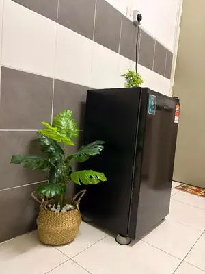 a black refrigerator in a kitchen with two plants at Aurora Inap Stay for Mslim Only in Cameron Highlands