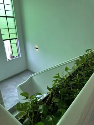 a room with a bunch of green plants at Embassy Hotel Georgetown in George Town