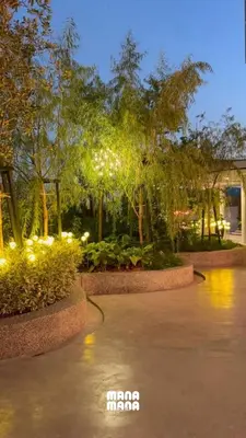 a park with trees and lights at night at 22 Macalisterz George Town By Mana-Mana in George Town