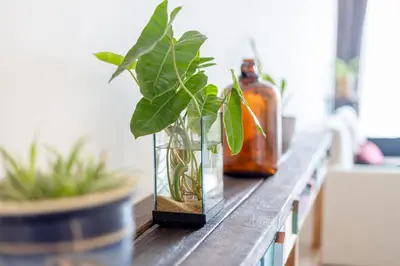 a table with plants in glass vases on it at Beacon Executive Service Suite Penang in George Town