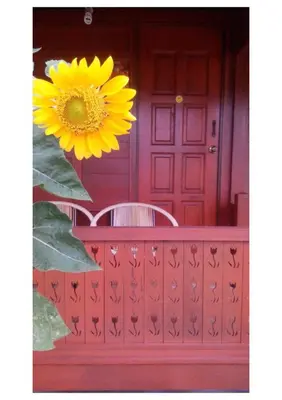 a yellow sunflower hanging over a fence with a red door at Sekinchan 231 VA Chalet in Sekincan