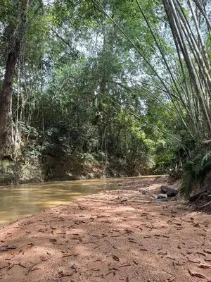 a dirt road next to a river with trees at Rumah Atuk Homestay in Gua Musang