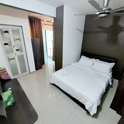 fz north silibin