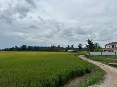 a field of green grass with a dirt road at Homestay Teluk Bayu in Sungai Petani
