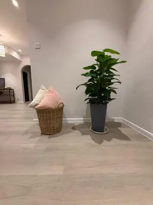 a room with a potted plant and a basket at Taman Bagan Homestay in Butterworth
