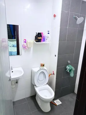 a bathroom with a toilet and a sink at Seri Pinggiran HOMESTAY Bertam Perdana in Kepala Batas