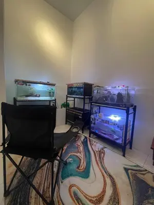 a living room with two fish tanks and a chair at RR Casa Space Homestay Ipoh in Ipoh