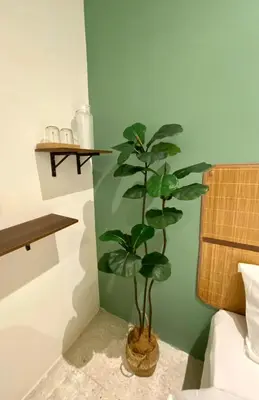 a small plant in a room next to a wall at Sembilan Inn by Soft Loft in George Town