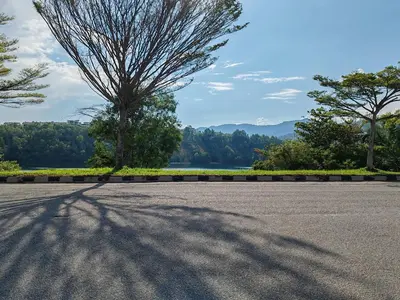 a shadow of a tree on the road at Starhill Lake Retreat in Lahat