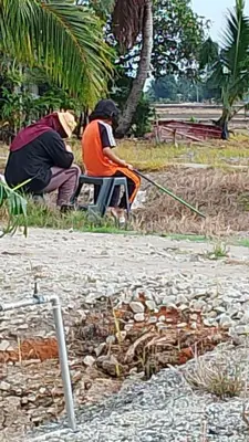 two people are working on a pile of rocks at Homestay Saadiah in Sungai Besar