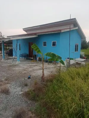 a blue house with a plant in front of it at Homestay Saadiah in Sungai Besar