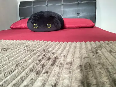 a black cat laying on top of a bed at Asu Homestay w Private Pool - Batu Gajah,Perak in Batu Gajah