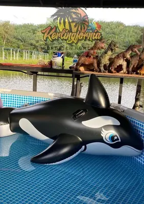 a toy killer whale on the floor of a water park at Kerlingfornia Kiddo Kingdom in Kerling