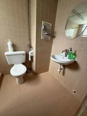 a bathroom with a toilet and a sink at Haven Nine Homestay in Batu Ferringhi