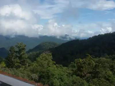 a view of a mountain with trees and clouds at A356 Silverpark Resort lifted unit 5th floor in Bukit Fraser