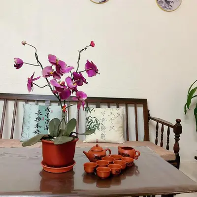 a table with a potted plant and cups on it at 10min near Ipoh Town Family Old & New Style 8Px in Ipoh