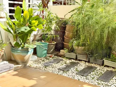 a group of potted plants in pots on a floor at 7BR Penang Stay Near Gurney and George Town in Tanjong Tokong