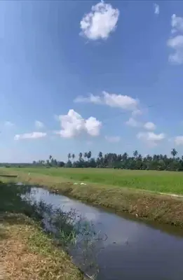 a river in the middle of a field at Hijrah De La Villa Parit Buntar Nibong Tebal Penang in Nibung Tebal