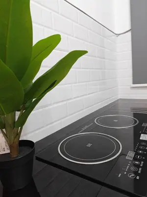 a plant sitting next to a stove in a kitchen at Cozy Haven \u6696\u5fc3\u5c45 in Simpang Ampat