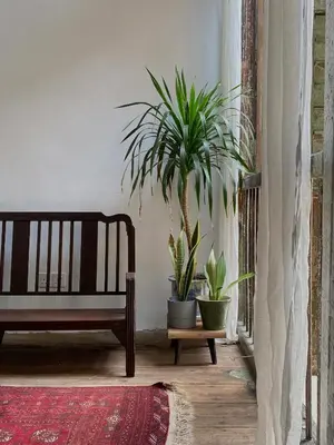 a living room with a bench and potted plants at Cheong Fatt Tze - The Townhouses in George Town