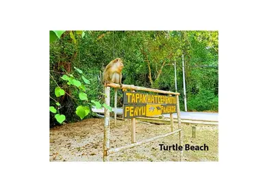 a monkey sitting on top of a sign at Pangkor Villa Jia Yuan \u90a6\u54af\u5c9b\u5bb6\u82d1\u6d77\u6ee9\u522b\u5885 in Pangkor