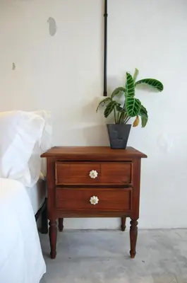 a potted plant on a wooden nightstand next to a bed at Just House - Rooms & Curios in George Town
