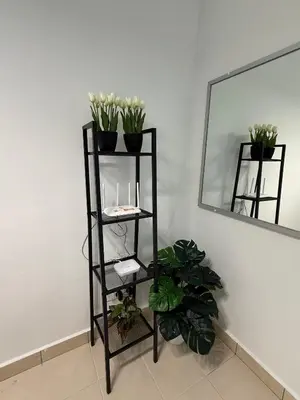 a black shelf with plants on it next to a mirror at Cameron Jaya Homestay 8pax in Tanah Rata