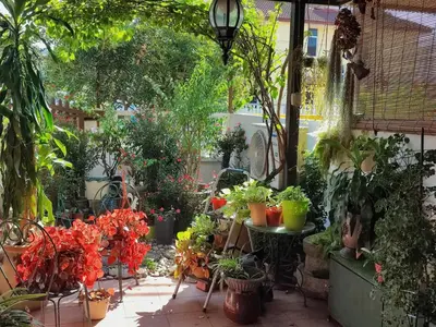 a garden with potted plants on a patio at Cozy Home near Airport, & Bayan Lepas Industrial in Bayan Lepas