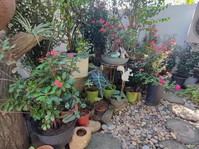 a garden with potted plants and a sink at Cozy Home near Airport, & Bayan Lepas Industrial in Bayan Lepas