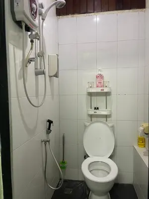a bathroom with a shower and a toilet at Pearl Heritage Guesthouse in George Town