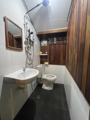 a bathroom with a toilet and a sink at Pearl Heritage Guesthouse in George Town